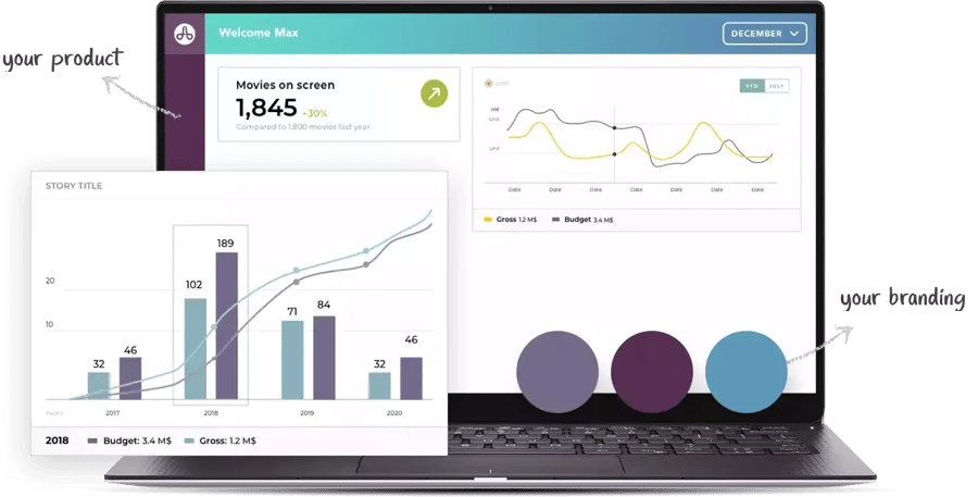 choosing Embedded analytics with white label analytics