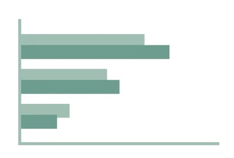 this is an example of how a Horizontal bar chart reporting graph looks like