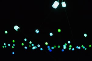 13719745_10100952919116280_9118300355230373810_o-768x512