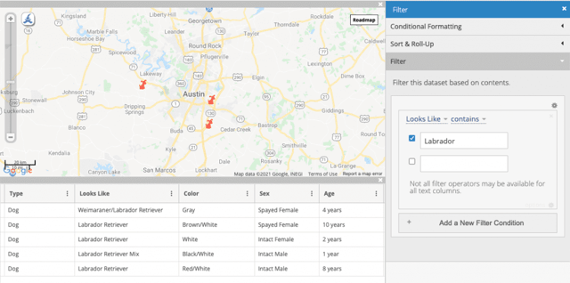Carte interactive permettant de retrouver les animaux perdus 