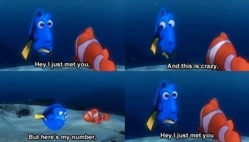 don't-be-dory