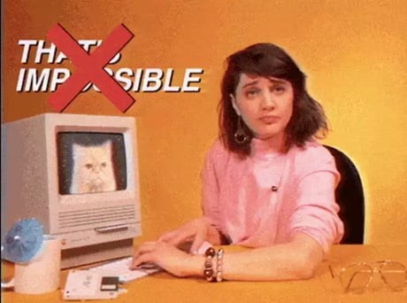 giphy-7