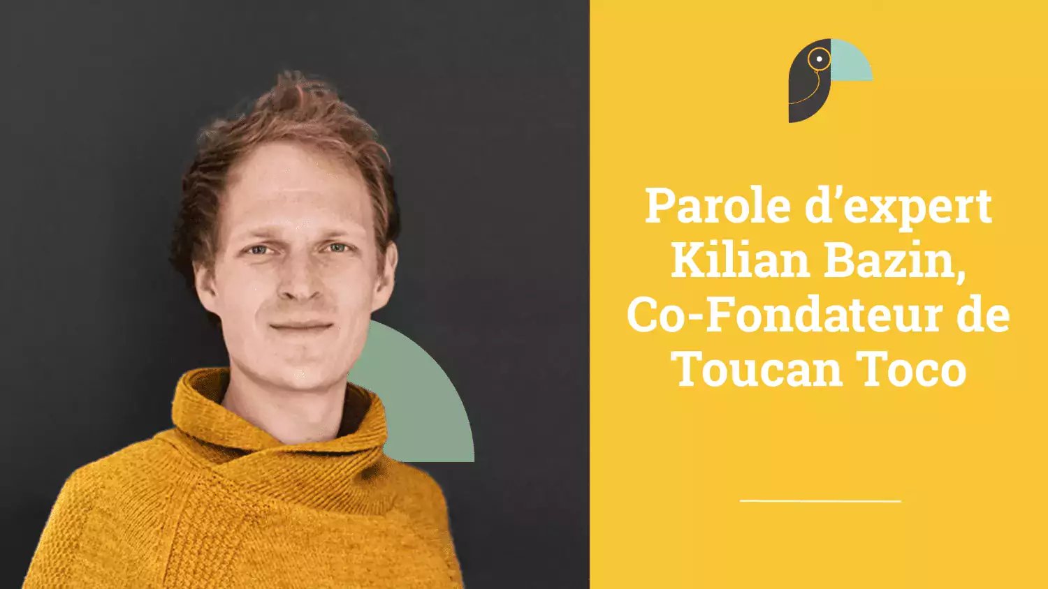 Toucan_kilian bazin