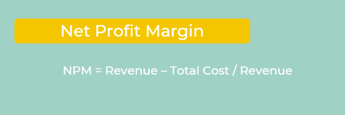 Net Profit Margin