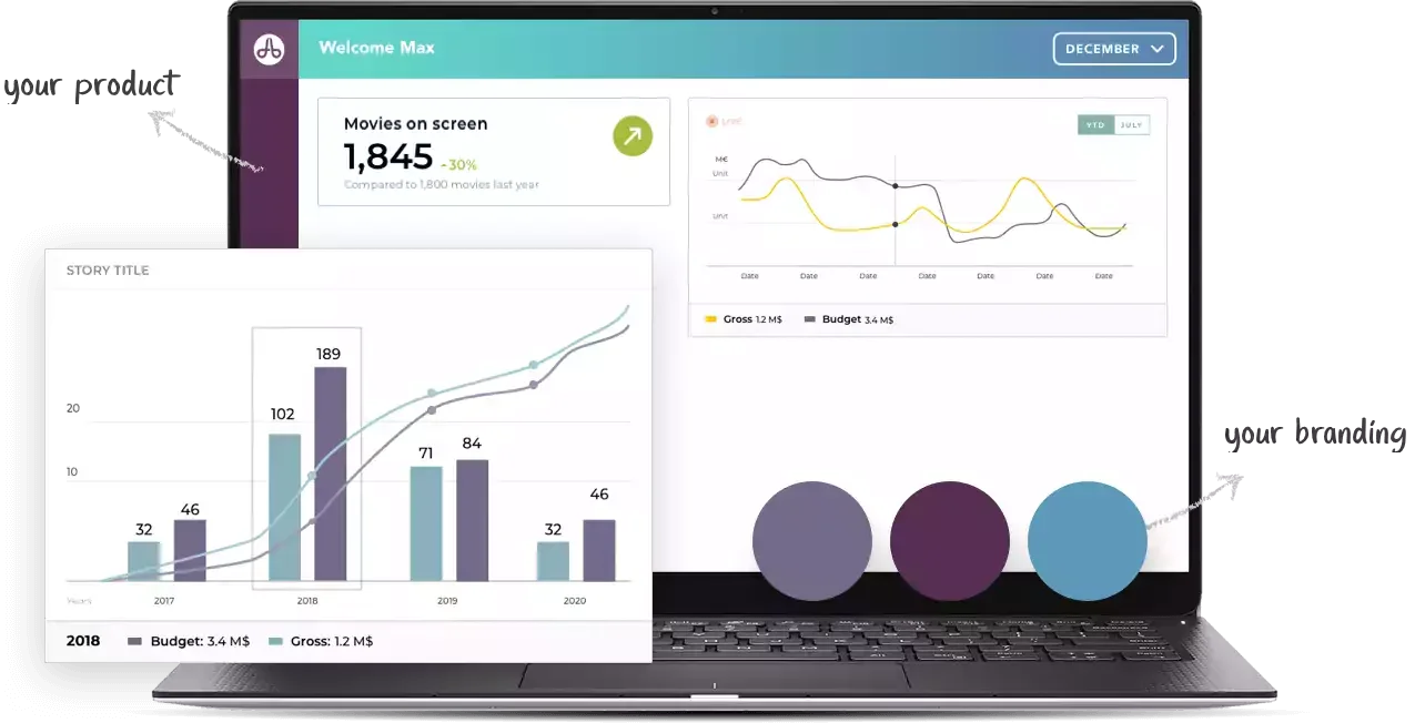 choosing Embedded analytics with white label analytics